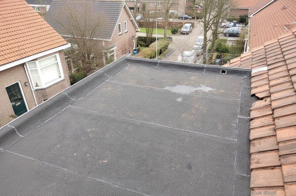 Dakdekker In Najaar Steenwijk