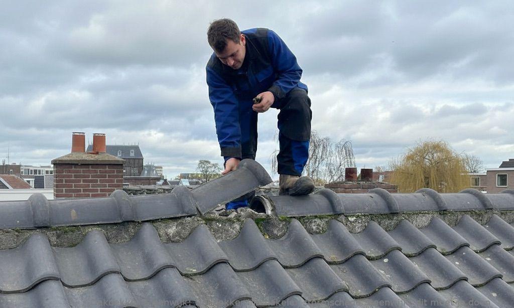 Dakdekker Inschakelen Stormschade Steenwijk