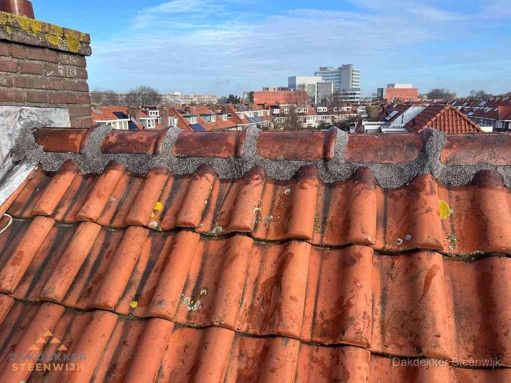 Daken Renoveren Steenwijk