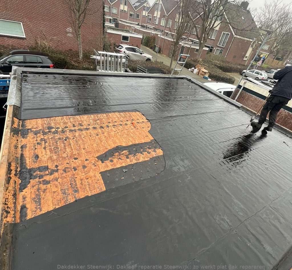 Dakleer Reparatie Steenwijk