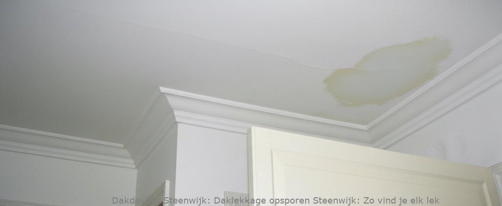 Daklekkage Opsporen Steenwijk 1