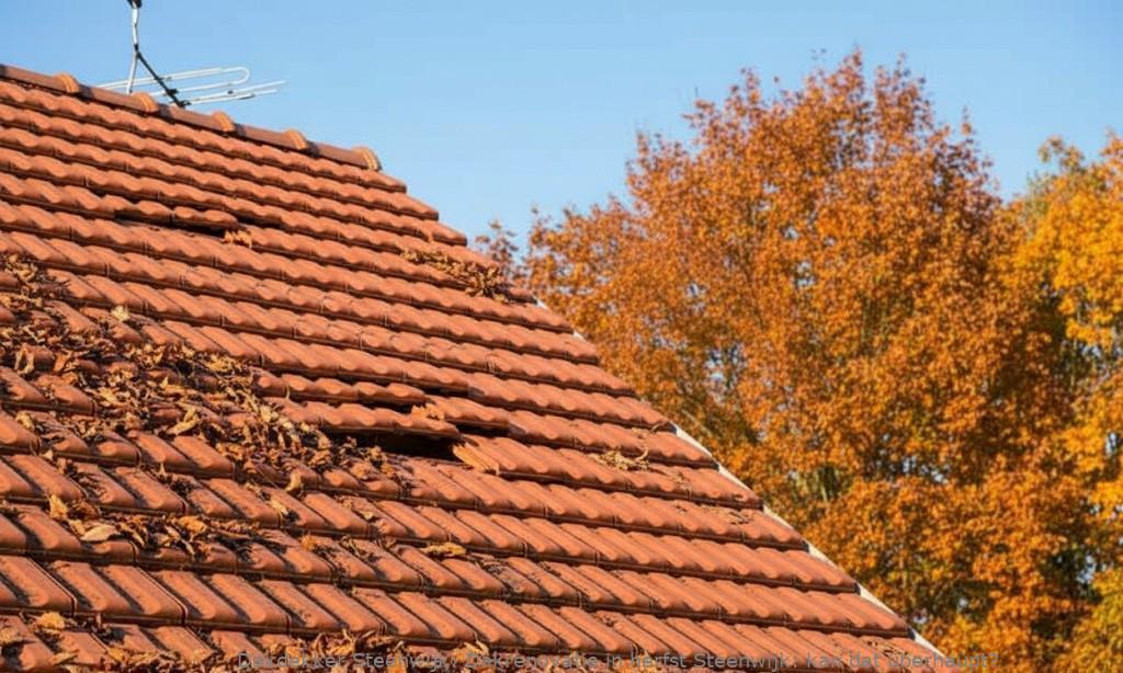 Dakrenovatie In Herfst Steenwijk
