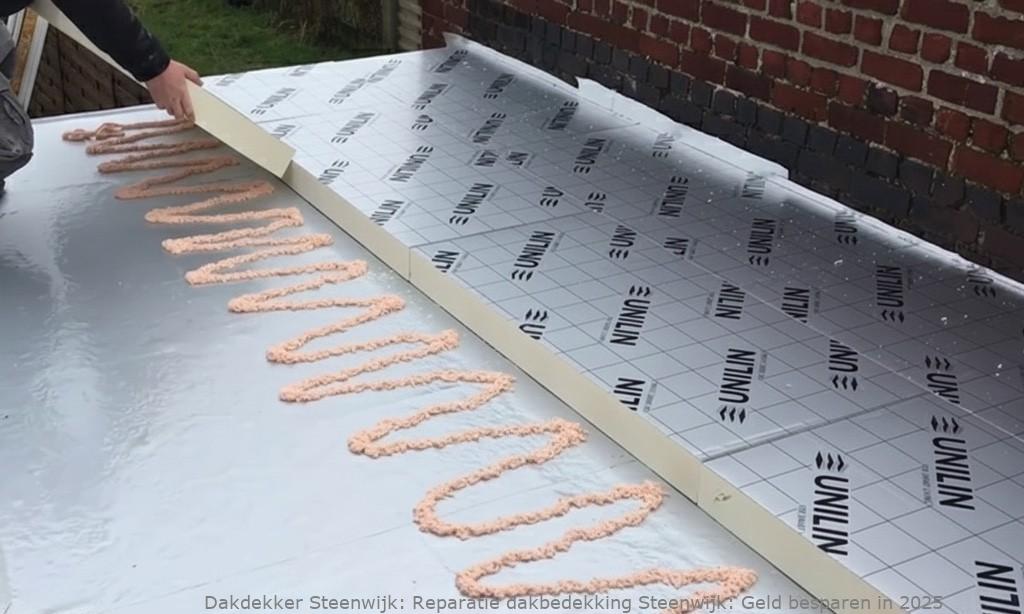 Reparatie Dakbedekking Steenwijk