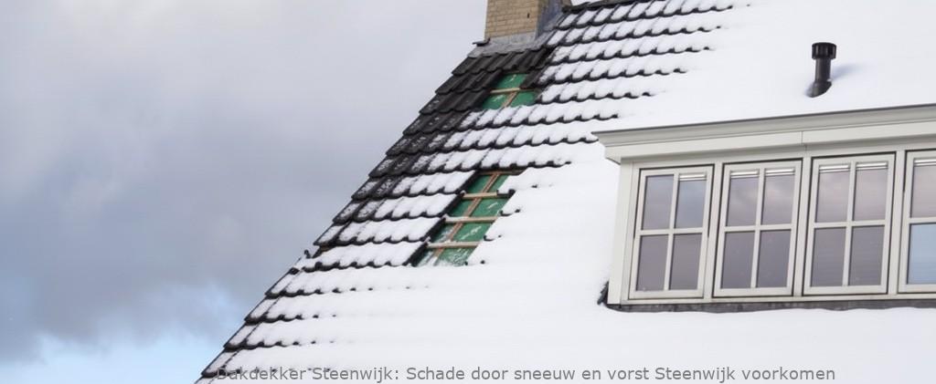 Schade Door Sneeuw En Vorst Steenwijk