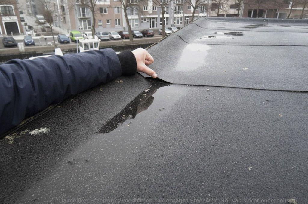 Voorkomen Daklekkages Steenwijk